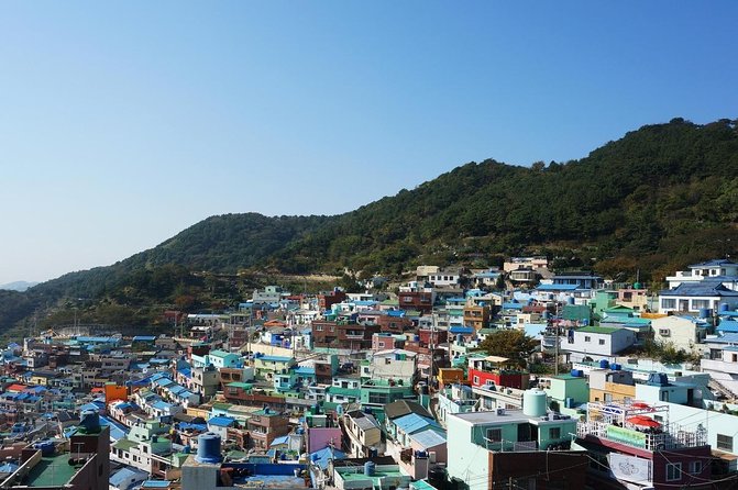 10day Small Group Discover Korea Tour : History, Food and Culture - Key points to know before booking