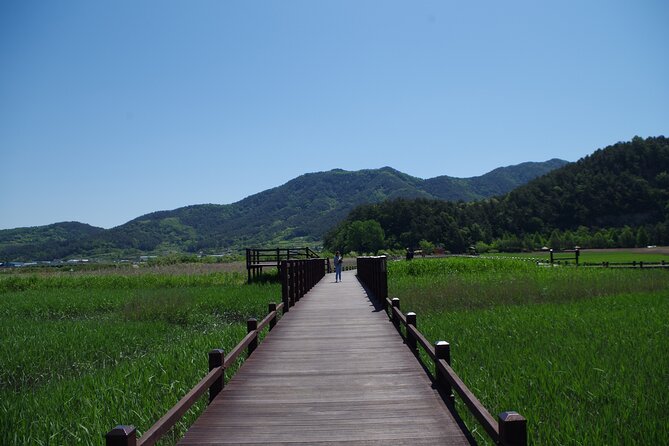 3-Day Korea Western course by K-shuttle Tour from Seoul to Busan - What the coach setup means for you