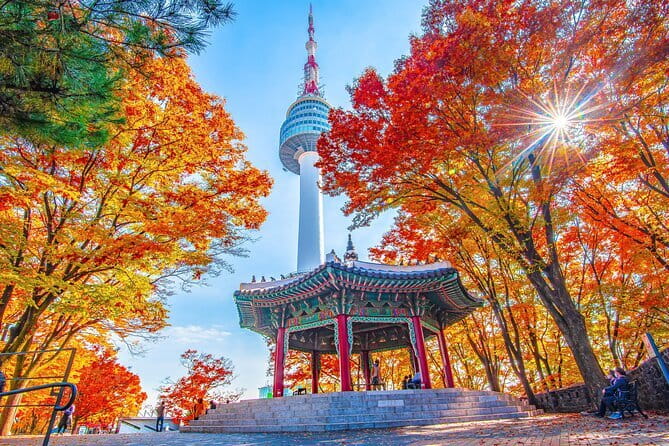 7 days Flexible Tour for Major Cities(Seoul,Busan,Gyeongju etc) - Day Two: Seoul Views, Temples, Gangnam, and the Han River