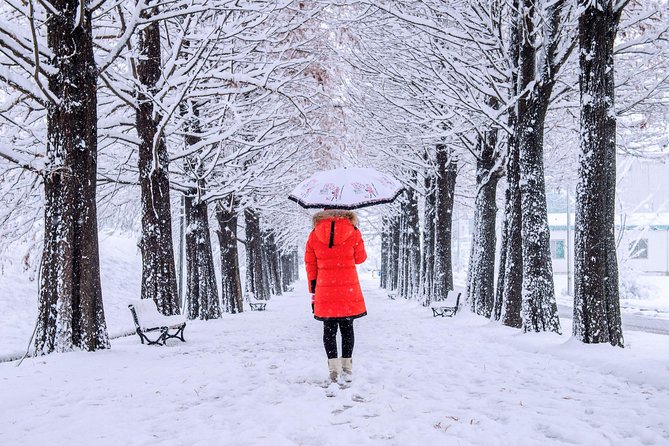 All Day Private Make your own plan tour to Nami Island and others - Sledding at Gapyeong Hills