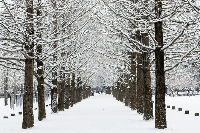All Day Private Make your own plan tour to Nami Island and others - The Garden of Morning Calm and its Light Festival