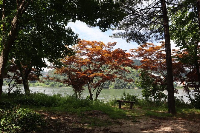 Alpaca, Nami, Petite Fr, Italian Village, Garden of Morning Calm - Key points to know before booking