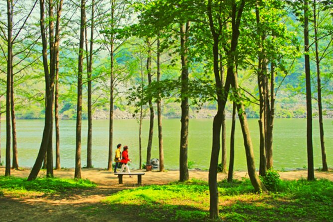Alpaca World and Nami Island with Gangchon Rail Bike Tour - Why this day works well from Seoul