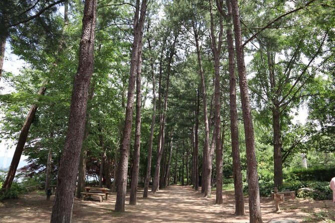 Alpaca World and Nami Island with Gangchon Rail Bike Tour - Guides can shape the whole day