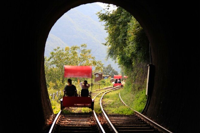 Alpaca World and Nami Island with Gangchon Rail Bike Tour - What to bring and how to pace yourself