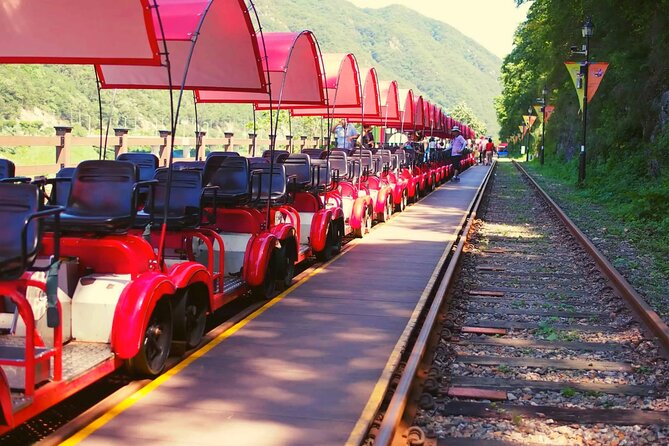 Alpaca World and Nami Island with Gangchon Rail Bike Tour - Nami Island and its tree-lined paths
