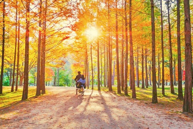 Alpaca World & Nami Island & Garden of Morning Calm One Day Tour - The Garden of Morning Calm as a peaceful finale