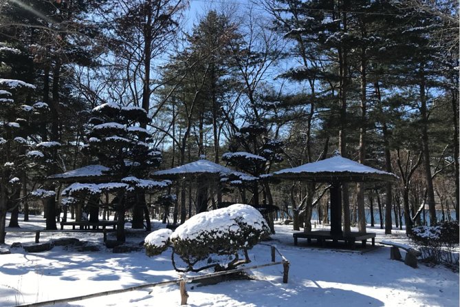Alpaca World & Nami Island & Garden of Morning Calm One Day Tour - When the $78.52 price earns its keep