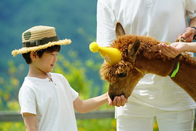 Alpaca World Tour with Nami Island (optional Railbike or Garden) - Why this day trip works beyond Seoul