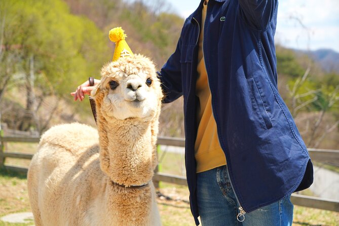 Alpaca World Tour with Nami Island (optional Railbike or Garden) - Nami Island: three hours among the trees