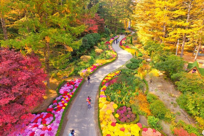 Alpaca World Tour with Nami Island (optional Railbike or Garden) - Gangchon Rail Park: countryside by pedal power