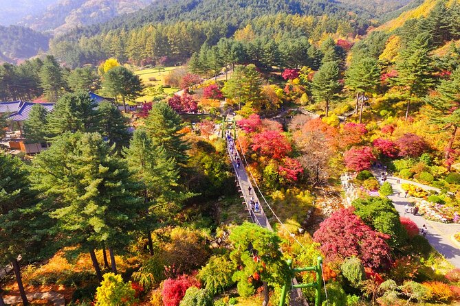 Alpaca World Tour with Nami Island (optional Railbike or Garden) - Garden of Morning Calm: flowers in warm months, lights in winter