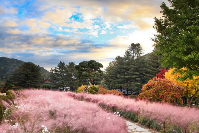 Alpaca World Tour with Nami Island (optional Railbike or Garden) - The Stay Healing Park and its Starlight Festival