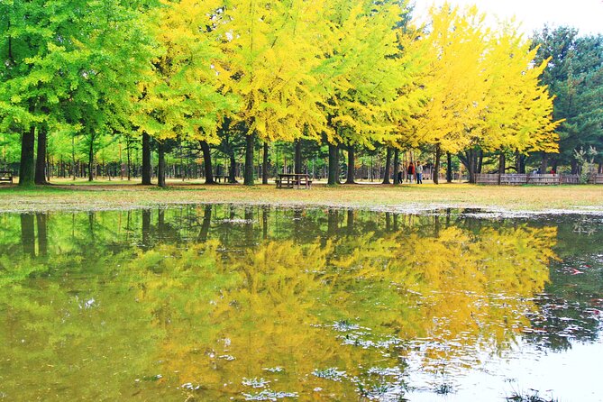 Alpaca World Tour with Nami Island (optional Railbike or Garden) - Five packages, with a useful way to choose