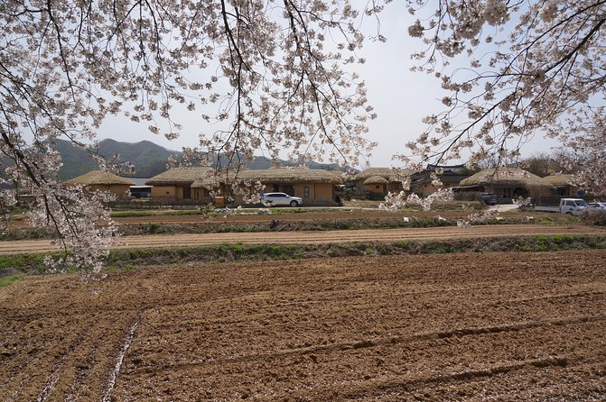 Andong Hahoe Folk Village [UNESCO World Heritage] Private Tour from Seoul - Who will get the most from this day