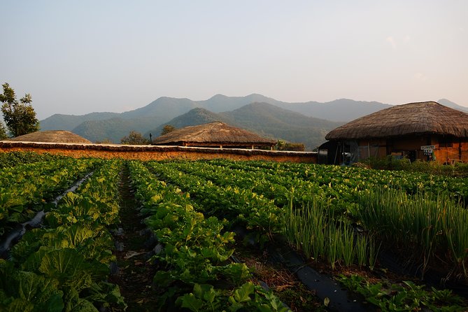 Andong Hahoe Village [UNESCO site] Premium Private Tour from Seoul - What the $274 price really covers