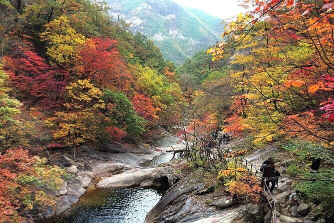 Autumn Foliage-Mt. Seorak, Sokcho Fish Market, Sokcho Beach - Why this Seoul day trip works in autumn