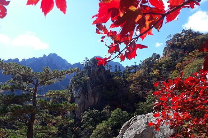 Autumn Foliage-Mt. Seorak, Sokcho Fish Market, Sokcho Beach - Meeting in Seoul and the long ride north