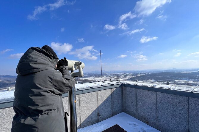 Best 2 Days Guided DMZ and Seoul City Tours from Seoul - Walking across the Bridge of Freedom
