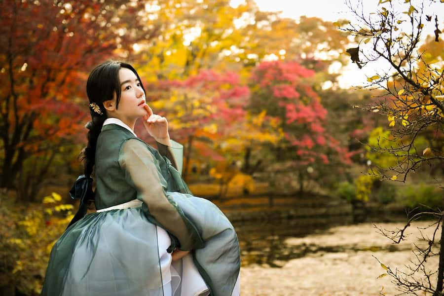 Changdeokgung Hanbok Experience at hanboknam - Choosing between basic, themed, and premium hanbok