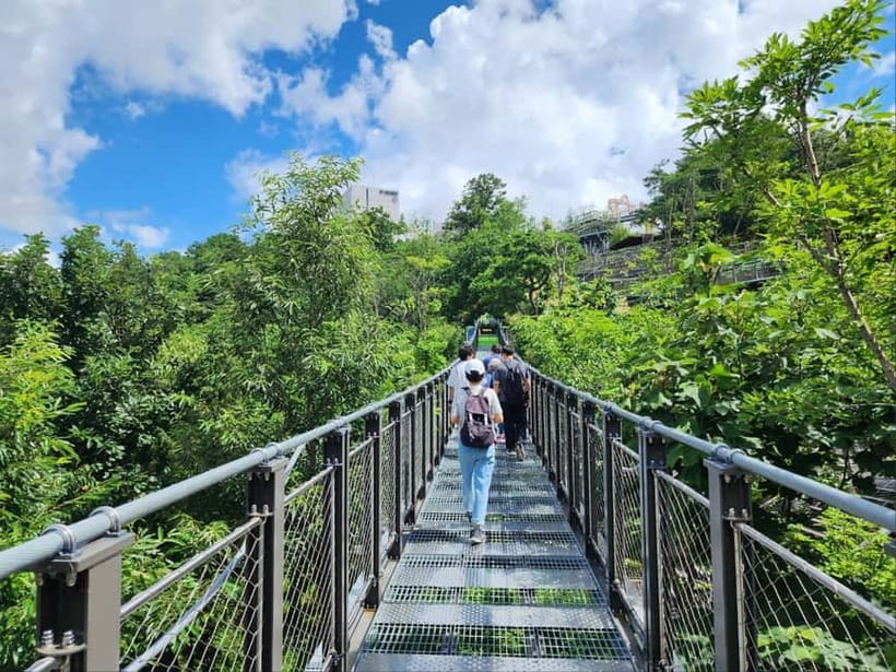 Closest Observatory to DMZ: North Korea View(Starbucks Tour) - Key points to know before booking