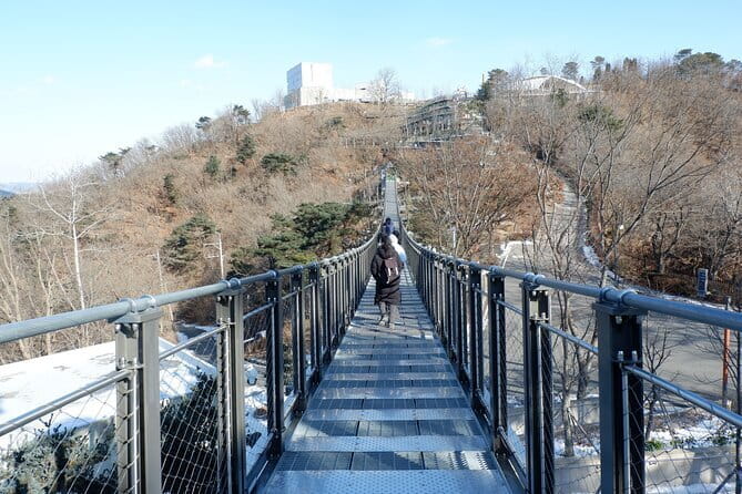 Closest Observatory to DMZ & Suspension Bridge Tour from Seoul - Why Aegibong is different from a standard DMZ visit
