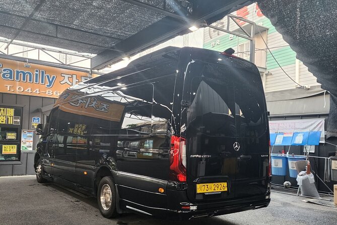 Customizable Private Seoul Tour in luxury van for VIP - Gwangjang Market is the day’s best food opportunity