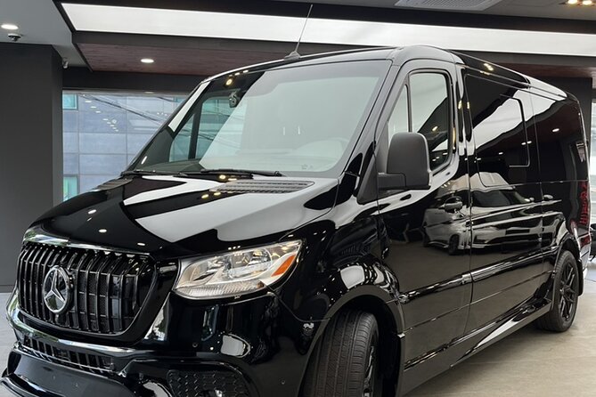 Customizable Private Seoul Tour in luxury van for VIP - Namdaemun Market for everyday shopping