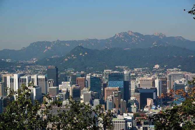 Customized Private Seoul tour: Palace, Market etc(Airport Option) - What the $184 price really buys you