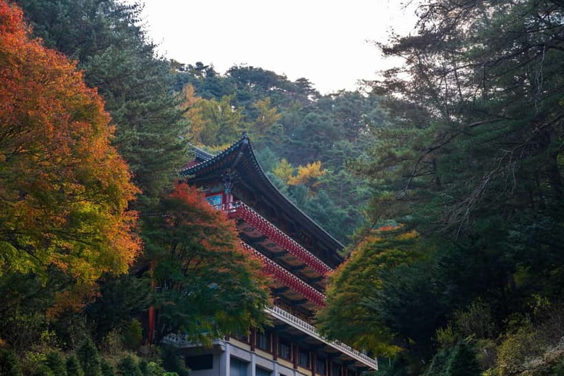 Danyang Tour:Guinsa Temple & Bobaljae & Cheongpung Cable Car - Trying vegetarian temple food