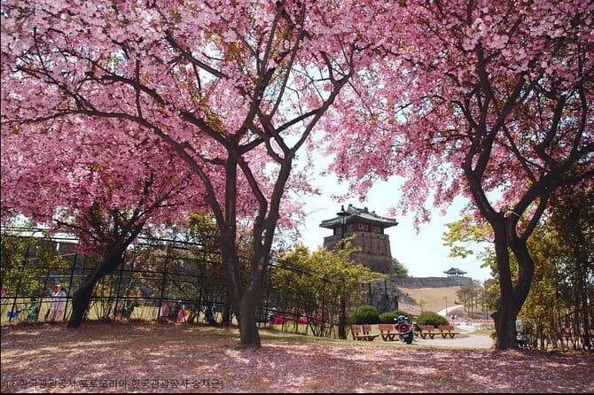 Day Tour of Suwon Hwaseong Fortress Starfield Waujeongsa Temple - Guides are the biggest factor in the experience