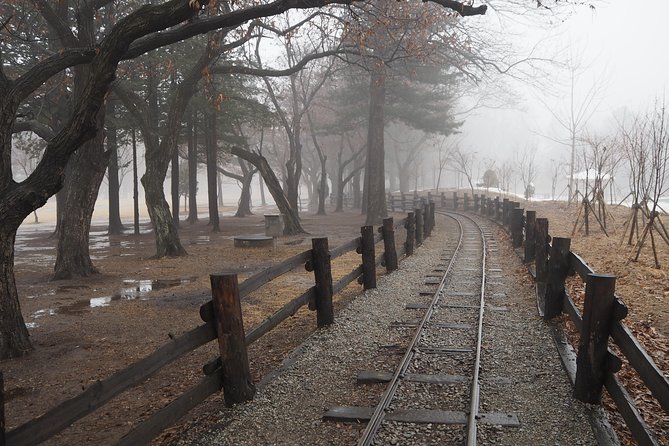 Day Tour to Gangchon Rail Bike Nami Island and Petite France - Petite France: one hour in a Korean version of France