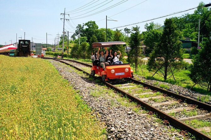Day Trip to Nami Island with Rail bike and The Garden of Morning Calm - Why this makes a good break from Seoul