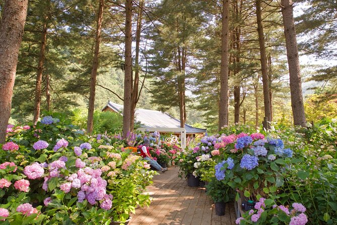 Day Trip to Nami Island with Rail bike and The Garden of Morning Calm - Is the $76.19 price worth it?