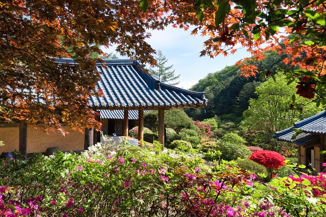 Day Trip to Nami Island with The Garden of Morning Calm - Leaving Seoul for Nami Island