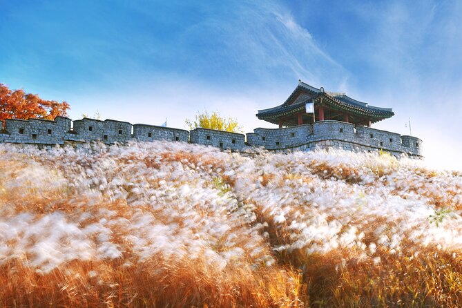 Day Trip to UNESCO: Suwon Fortress Adventure from Seoul - Starting in Myeongdong at 8:20 am