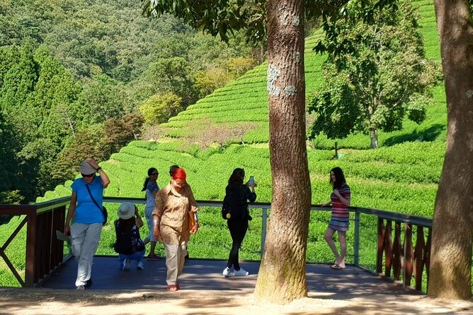 Discover Western Korea in 4days: All-Inclusive Experience - Day four: remembering the Korean War in Busan