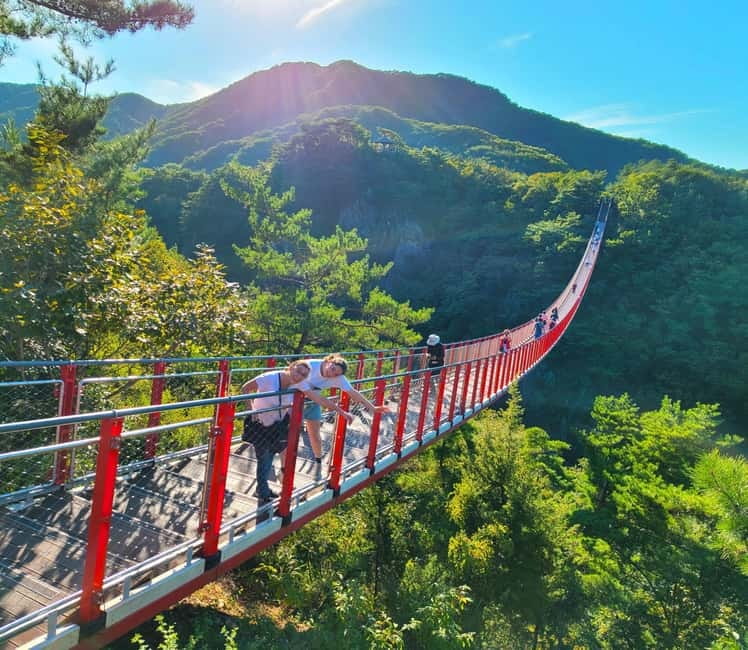 DMZ Insider Tour: 3rd Tunnel, NK Defector Meet & Red Bridge - Imjingak, Mangbaedan Altar, and the steam locomotive