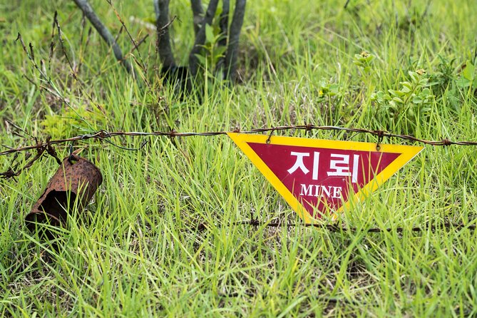 DMZ One Day Tour in Gyeonggi-do with English or Spanish - Who will get the most from this tour?