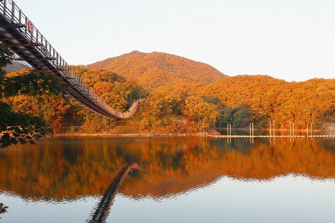 DMZ Private Tour: 3rd Tunnel, Option(Suspension Bridge, Boat) - Dora Observatory and the view toward North Korea