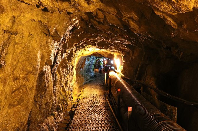 DMZ Tour: 3rd Tunnel, Option(Suspension Bridge, Boat) from Seoul - Key points to know before you book