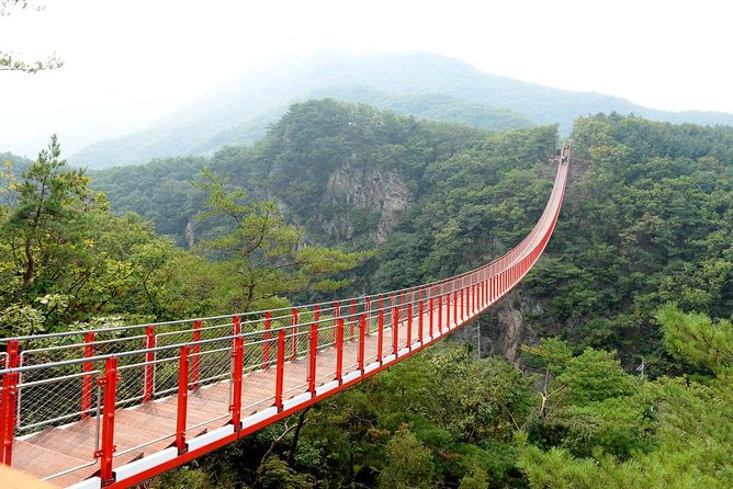 DMZ Tour: 3rd Tunnel, Option(Suspension Bridge, Boat) from Seoul - Dora Observatory and the view toward North Korea