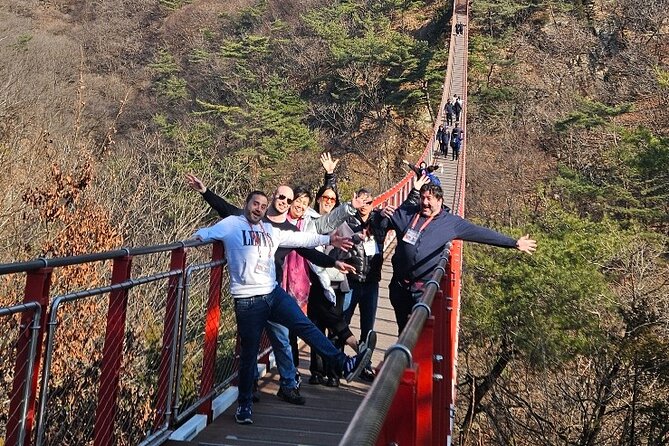 DMZ Tour from Seoul – Optional Suspension Bridge Experience - Dora Observatory: the view depends on the weather
