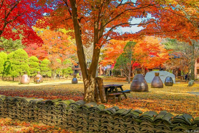 Easy private tour to Nami Island, Garden of Morning Calm - Walking through the Garden of Morning Calm