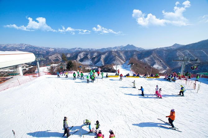 Elysian Gangchon Winter Ski with Nami Island Day Tour from Seoul - Key points to know before you book