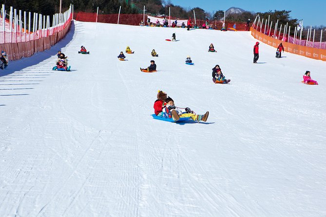 Elysian Gangchon Winter Ski with Nami Island Day Tour from Seoul - Who will get the most from this tour