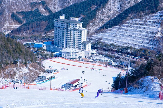 Elysian Gangchon Winter Ski with Nami Island Day Tour from Seoul - Nami Island: three and a half hours among famous trees