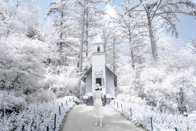 Eobi Ice Valley, Nami Island, Morning Calm and Rail Bike Seoul - Key points to know before booking
