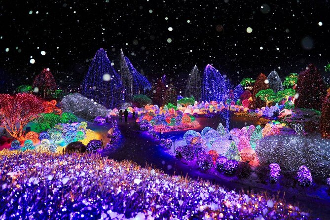 Eobi Ice Valley& Nami Island with Garden of Morning Calm Trip - Eobi Ice Valley and the limits of the schedule