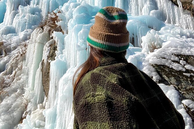 Eobi Ice Wall & Nami Island & Morning Calm Light Festival - Leaving Seoul from three central pickup points